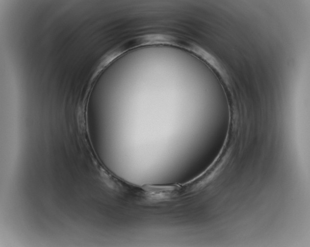 X0000115511145200911061351