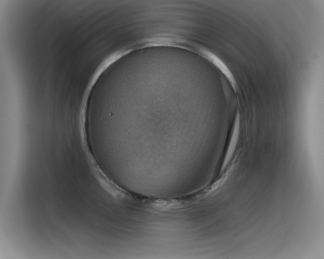 X0000115511146200911061351