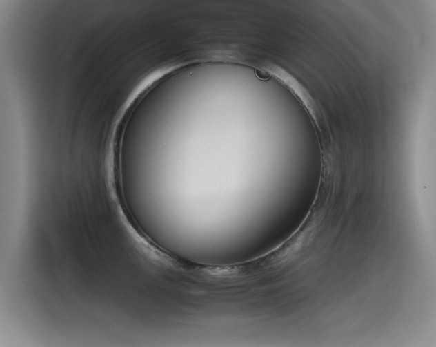 X0000115511147200911061351