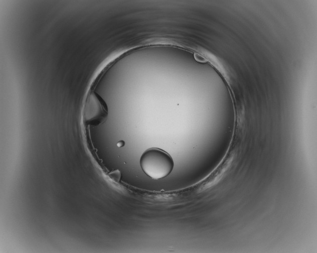 X0000115511149200911061351