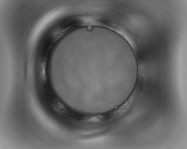 X0000115511150200911061351