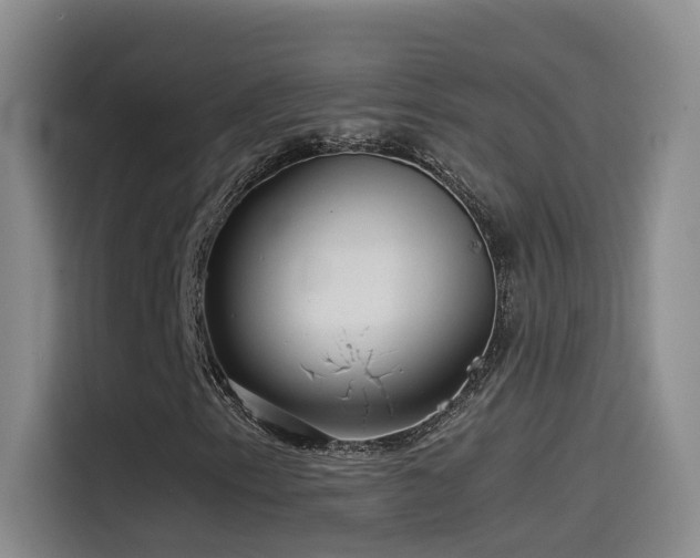 X0000115511153200911061351