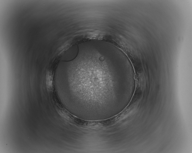 X0000115511154200911061351