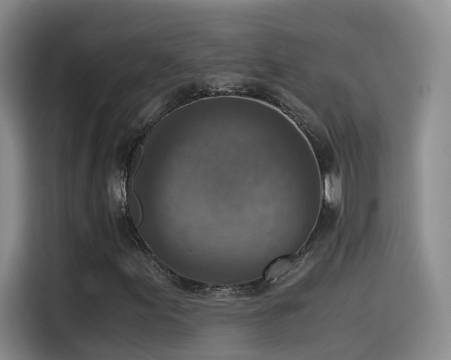 X0000115511155200911061350
