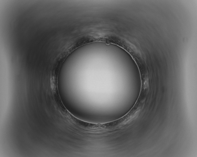 X0000115511156200911061350