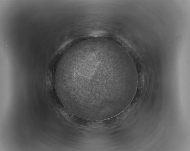 X0000115511158200911061350