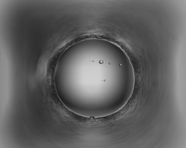 X0000115511159200911061350