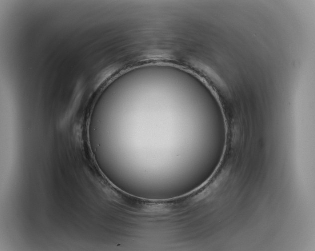 X0000115511162200911061350