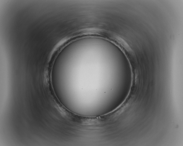 X0000115511164200911061350