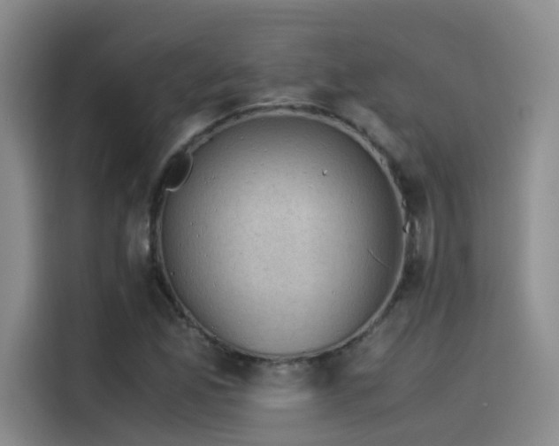 X0000115511165200911061350