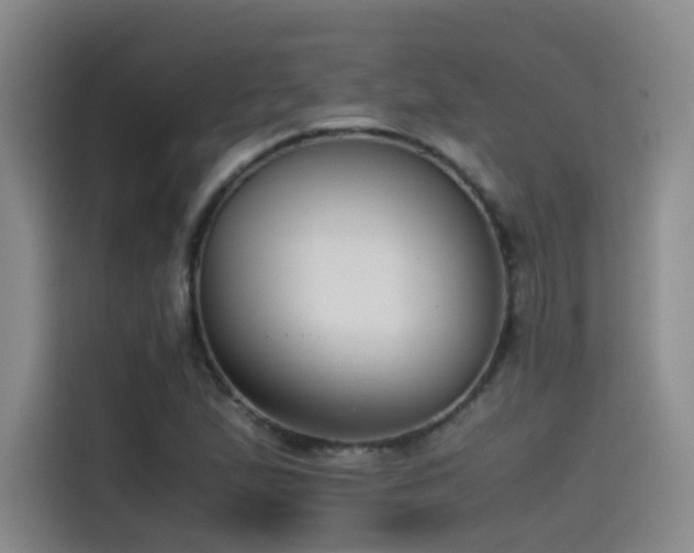 X0000115511167200911061350