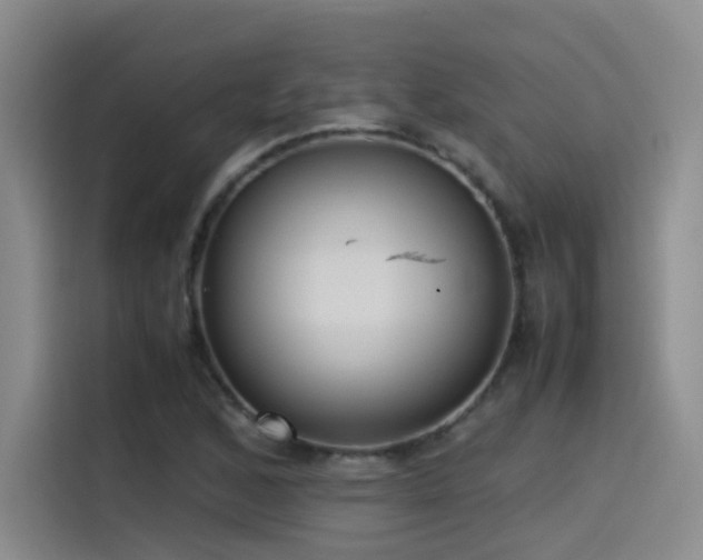 X0000115511168200911061350