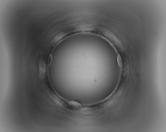X0000115511169200911061350