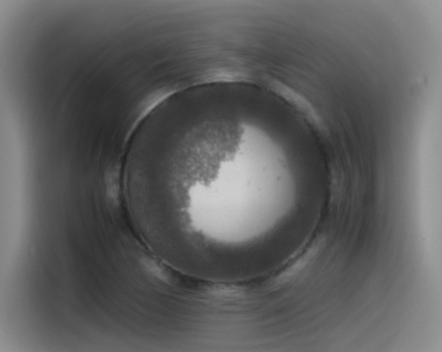 X0000115511170200911061350