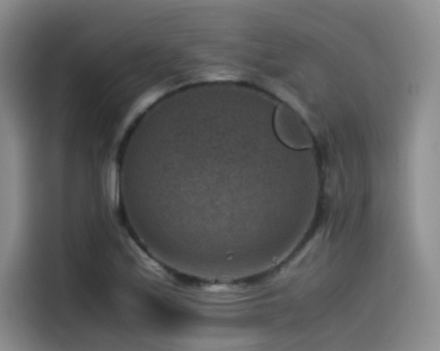 X0000115511171200911061350