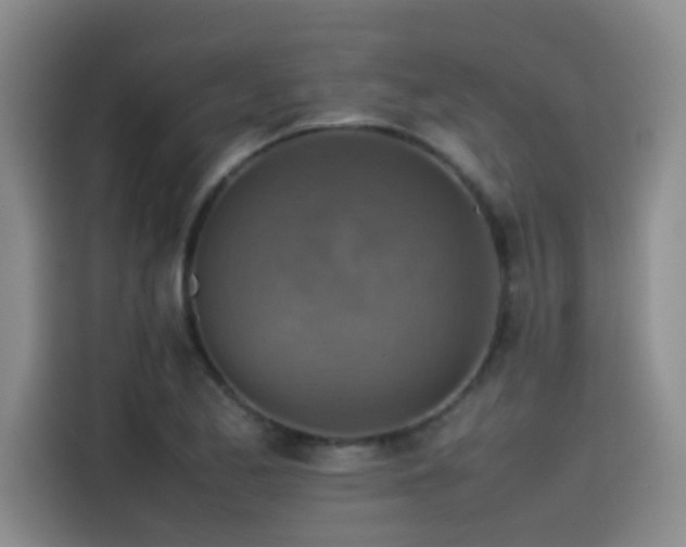 X0000115511173200911061350