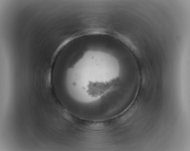X0000115511174200911061350