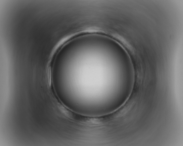 X0000115511175200911061350