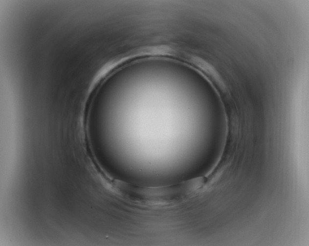 X0000115511176200911061350