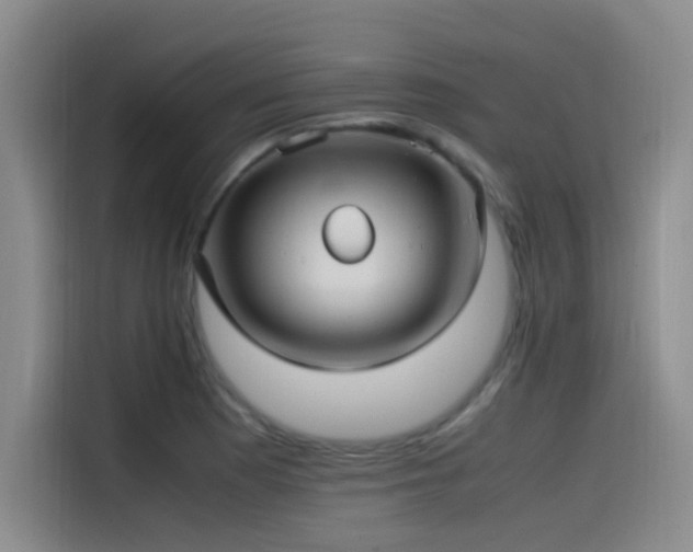 X0000115511177200911061350