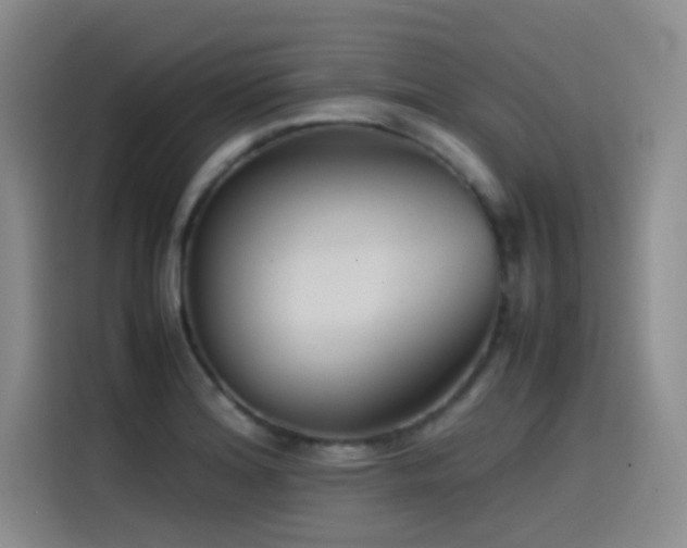 X0000115511180200911061350