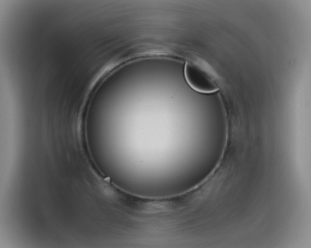 X0000115511181200911061350