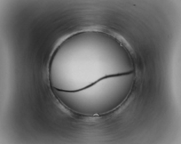 X0000115511184200911061350