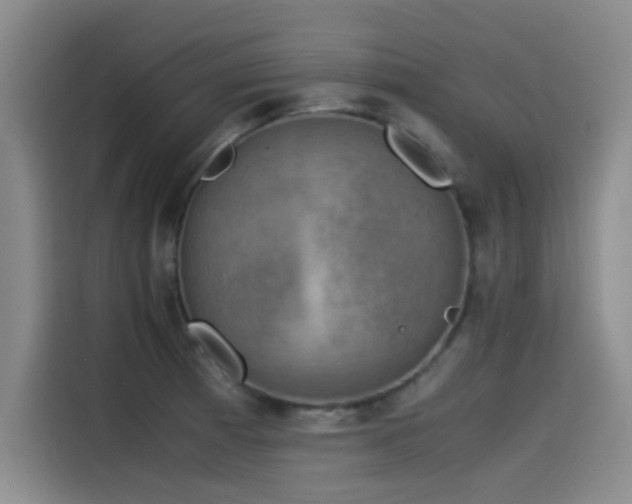 X0000115511185200911061350