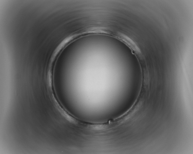X0000115511188200911061350