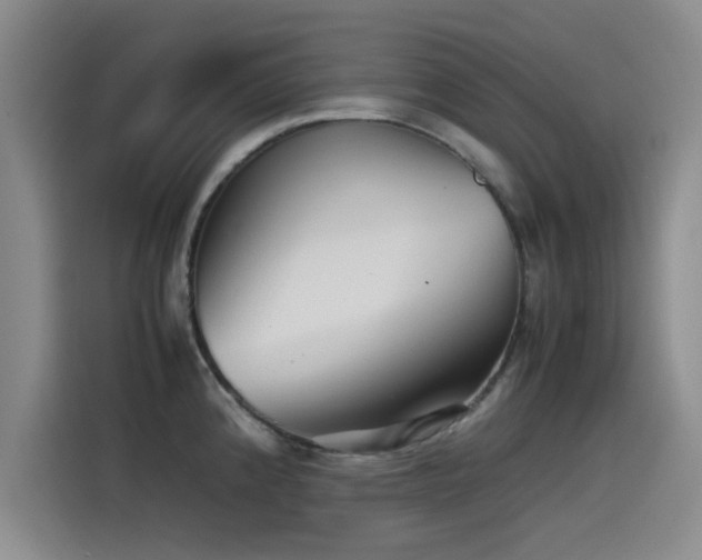 X0000115511192200911061350