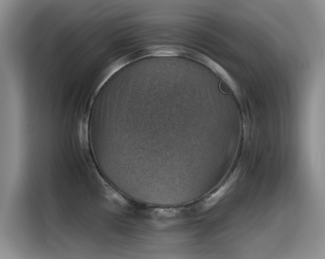 X0000115511194200911061350