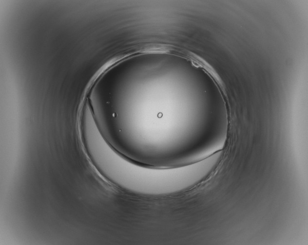X0000115511195200911061350
