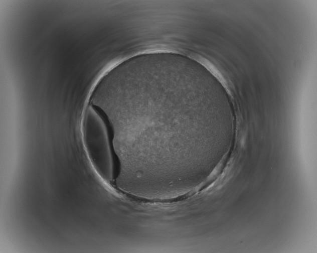 X0000115511197200911061350