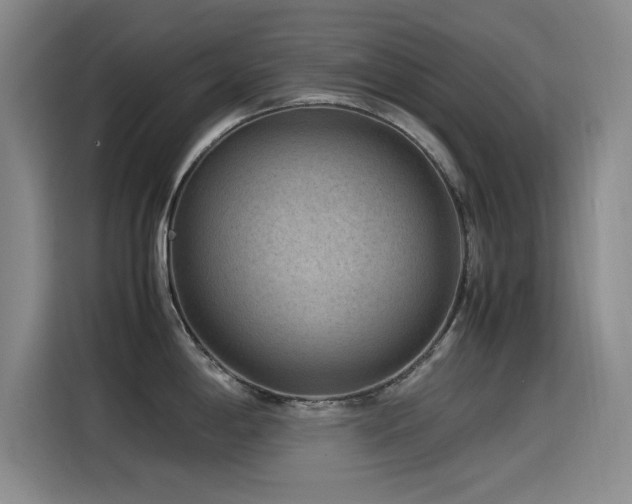 X0000115511198200911061350