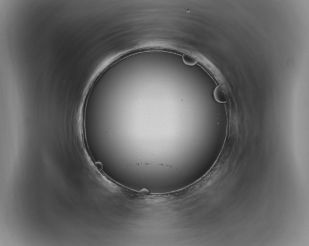 X0000115511199200911061350