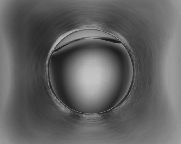 X0000115511200200911061350