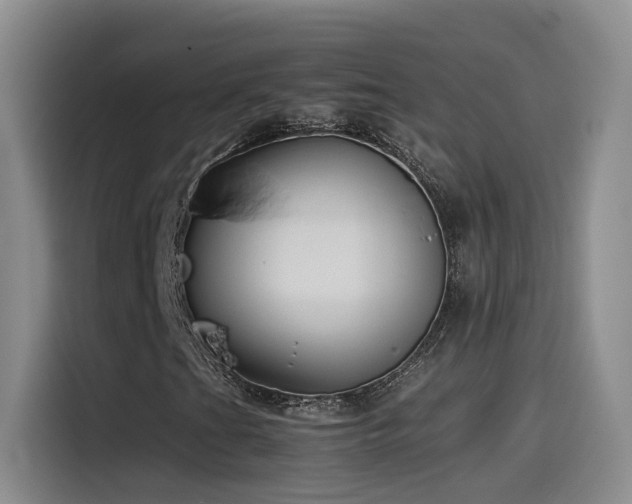 X0000115511201200911061349