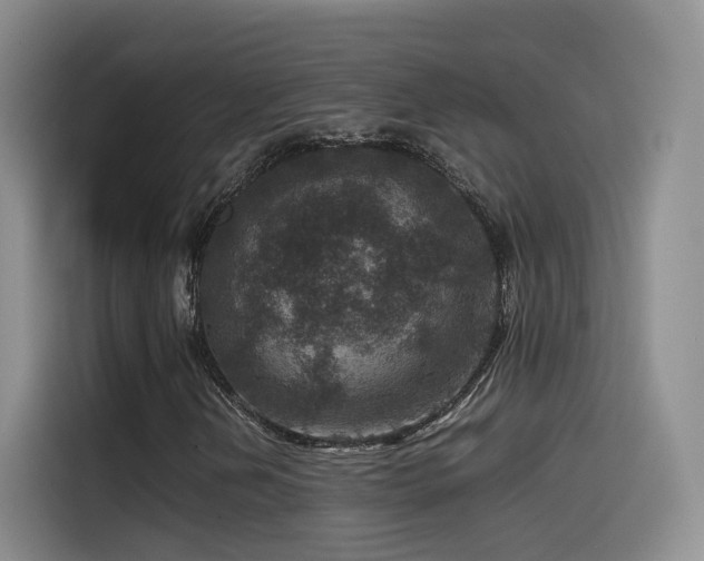 X0000115511202200911061349