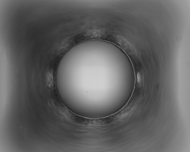 X0000115511203200911061349