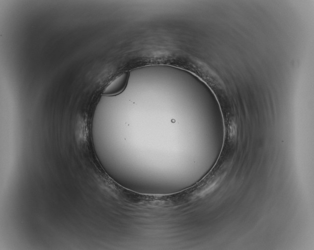 X0000115511204200911061349