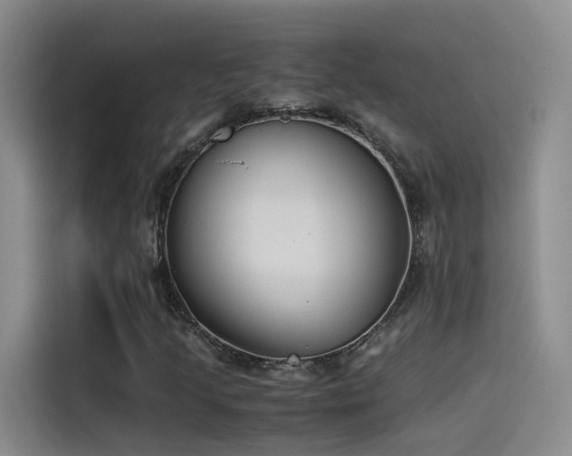 X0000115511205200911061349