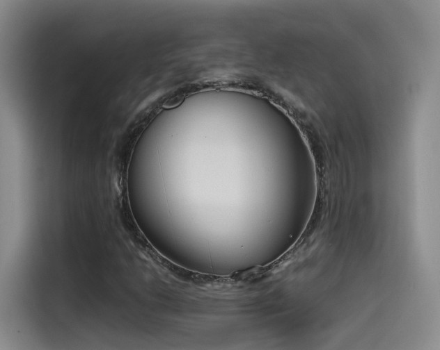 X0000115511206200911061349