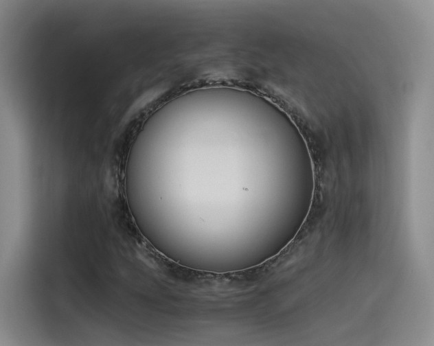 X0000115511207200911061349