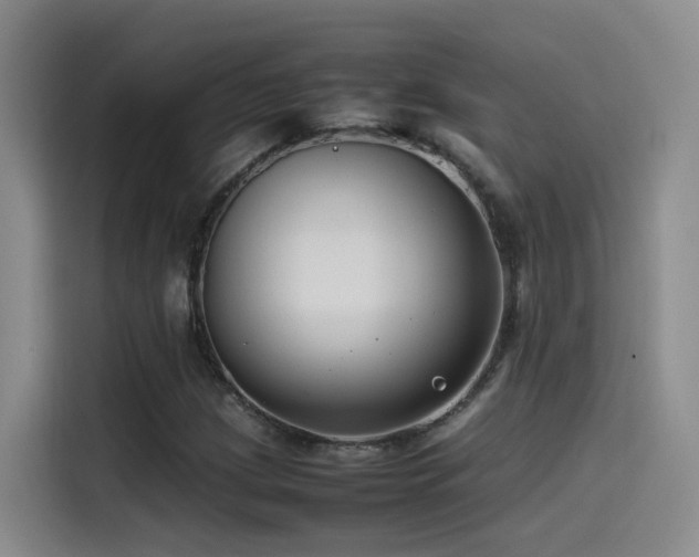 X0000115511209200911061349