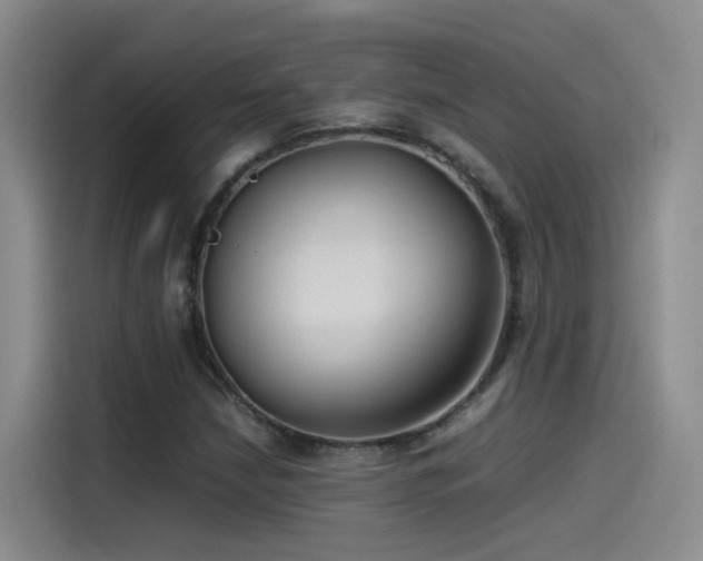 X0000115511210200911061349