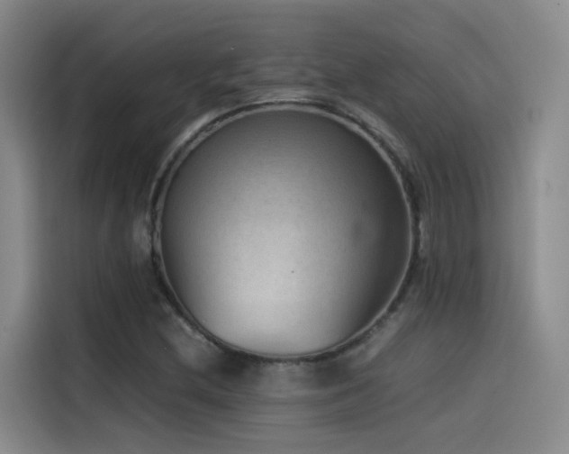 X0000115511212200911061349