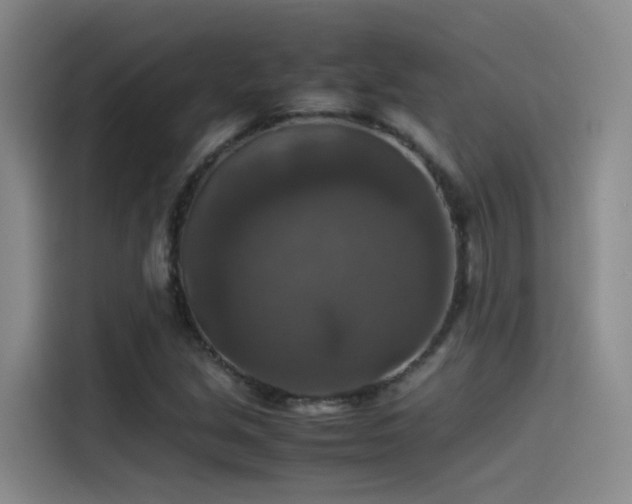 X0000115511213200911061349