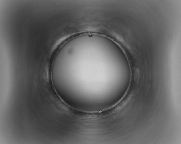 X0000115511214200911061349