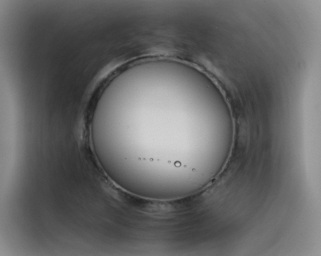 X0000115511215200911061349