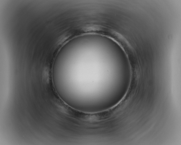 X0000115511217200911061349